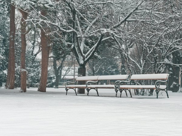 Les qualités d'un bon médecin généraliste