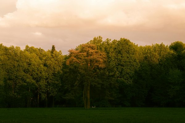 Consulter un spécialiste du genou à Paris : guide et conseils essentiels